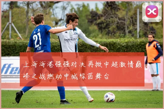 上海海港强强对决再掀中超激情巅峰之战燃动申城绿茵舞台