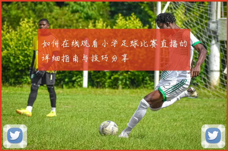 如何在线观看小学足球比赛直播的详细指南与技巧分享