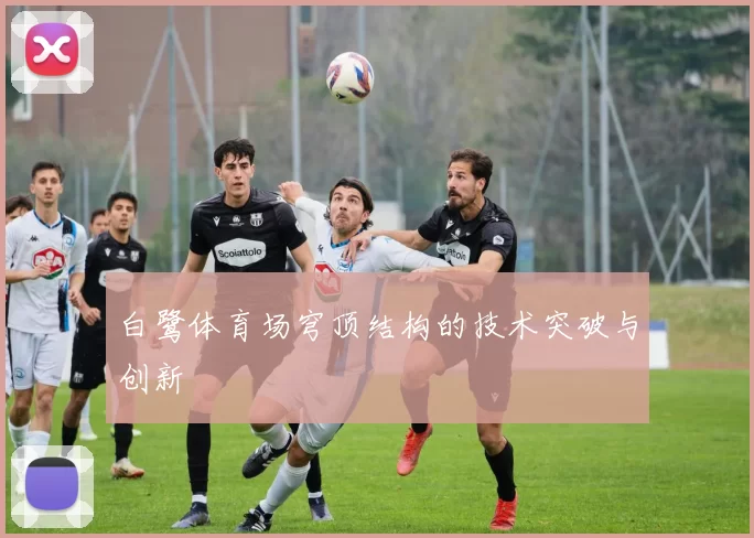 白鹭体育场穹顶结构的技术突破与创新