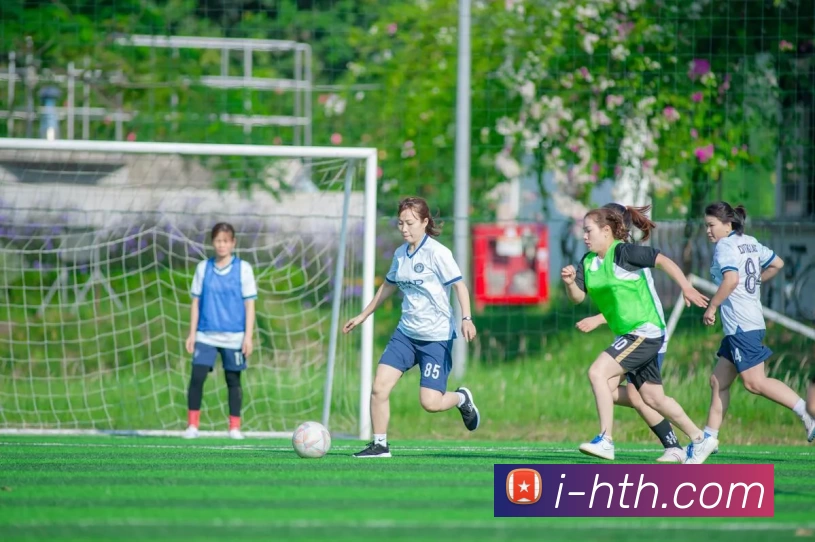 App Interface Preview