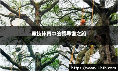 华体会体育